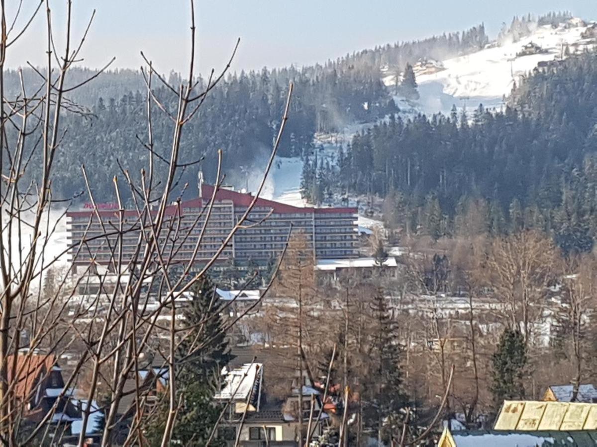 Pensjonat U Barbary I Jacka Zakopane Extérieur photo